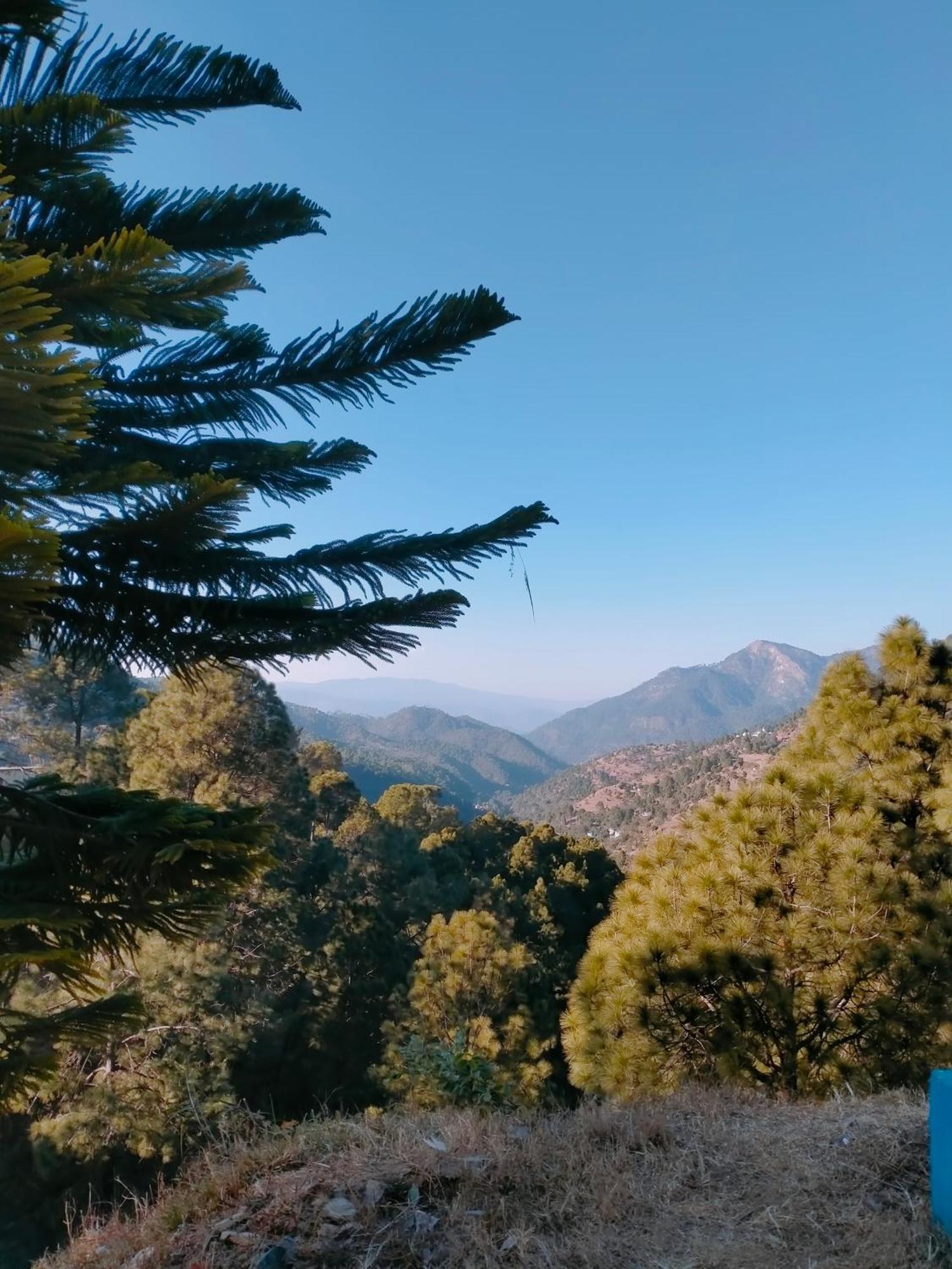 Shree Home Stay Dwarahat Экстерьер фото